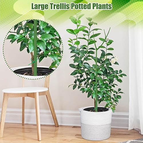 Miniatura 7 de Paquete de 5 estacas de soporte ajustables para plantas de rama postes de enrejado de plantas de 39 pulgadas para plantas en maceta estacas de