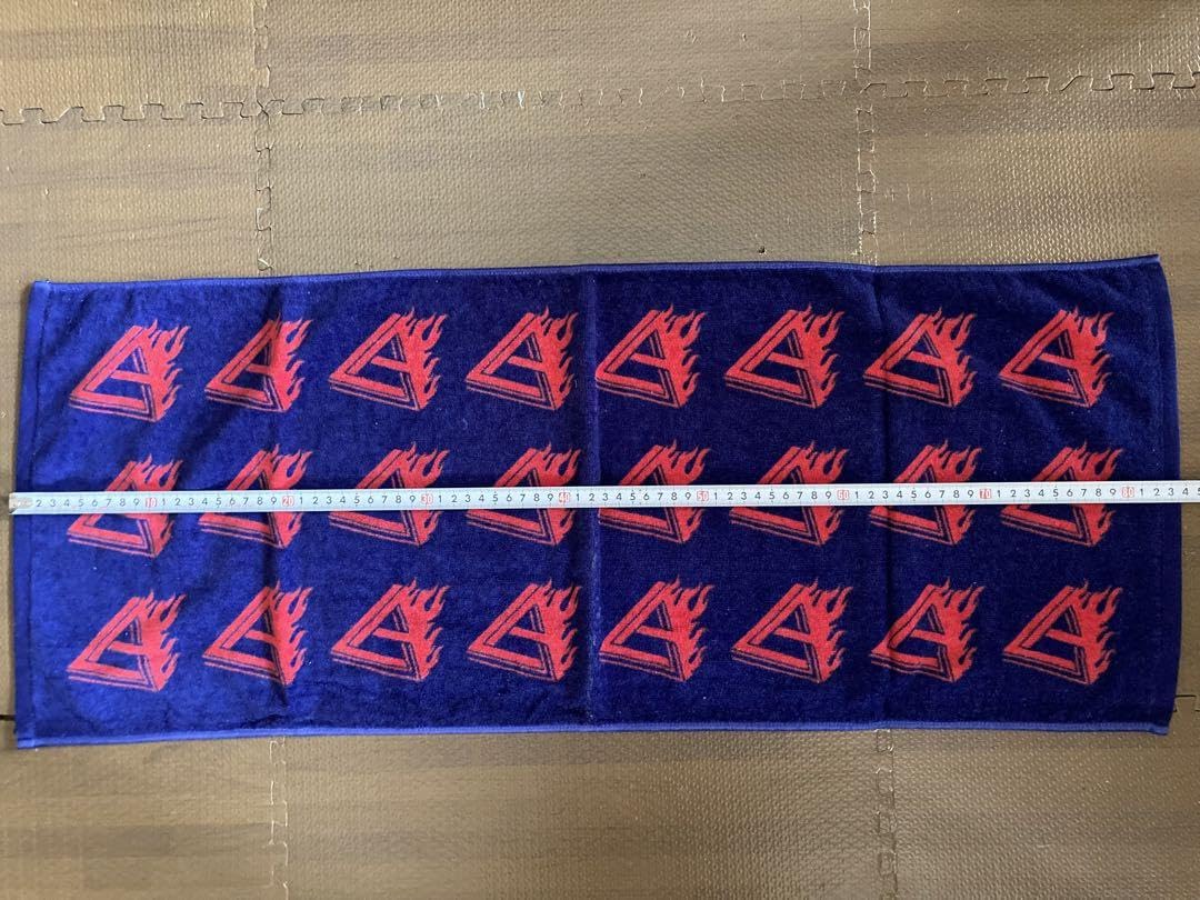 Dragon Ash タオル ドラゴンアッシュ DragonAsh Amazon.co.jp: Dragon Ash ドラゴンアッシュ ツアーグッズ タオル