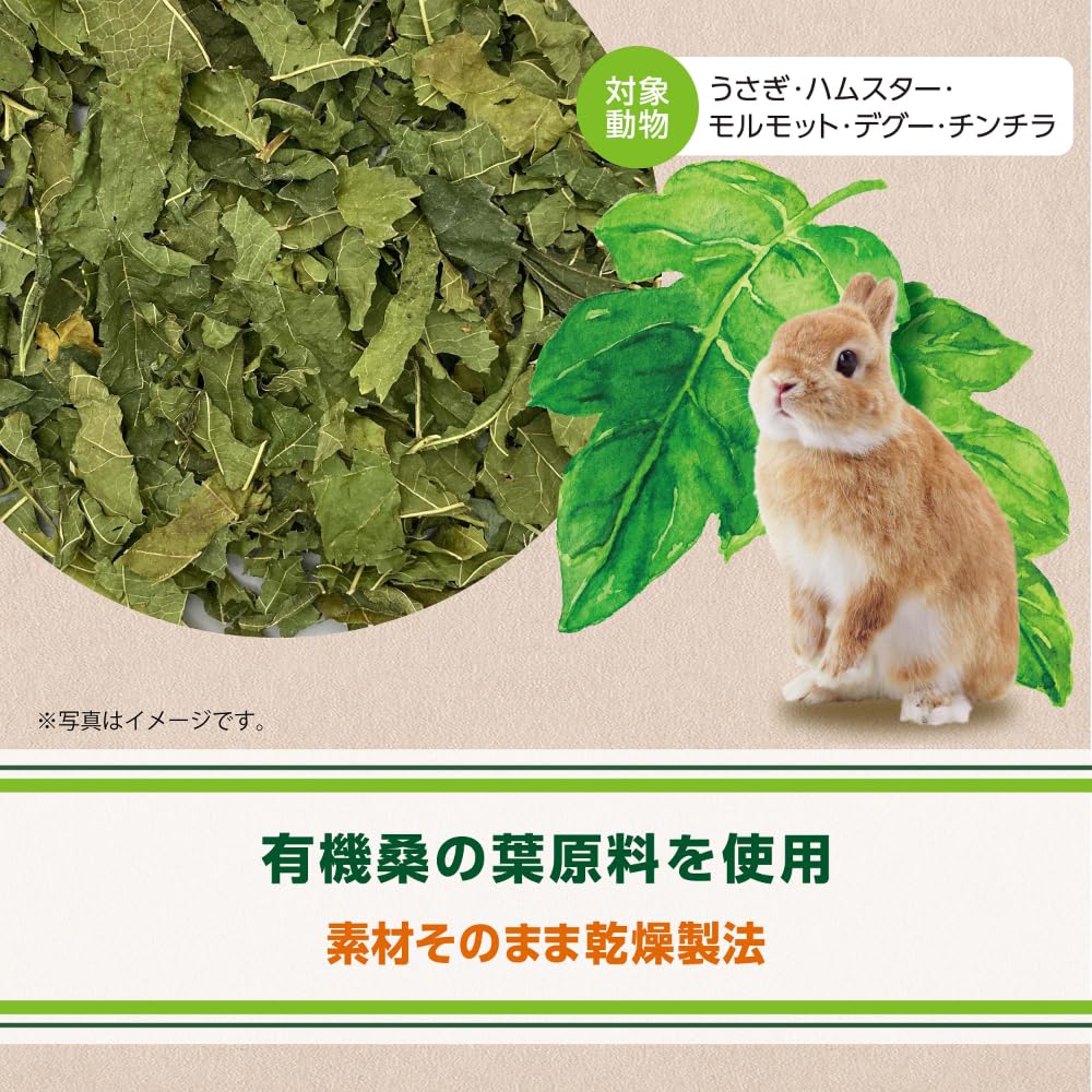 Amazon.co.jp: ジェックス ヘルシーレシピ 桑の葉ぱりむしゃ10g