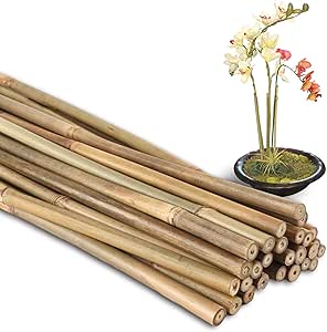 Coussinets De Nez Pour Lunettes Garrett Leight | Couleur Nude Or Beige | Référence GL-21