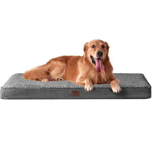EHEYCIGA Orthopedic XL Dog Beds for Extra Large Dogs with Removable Washable Cover for Crate, Grey, 41x27