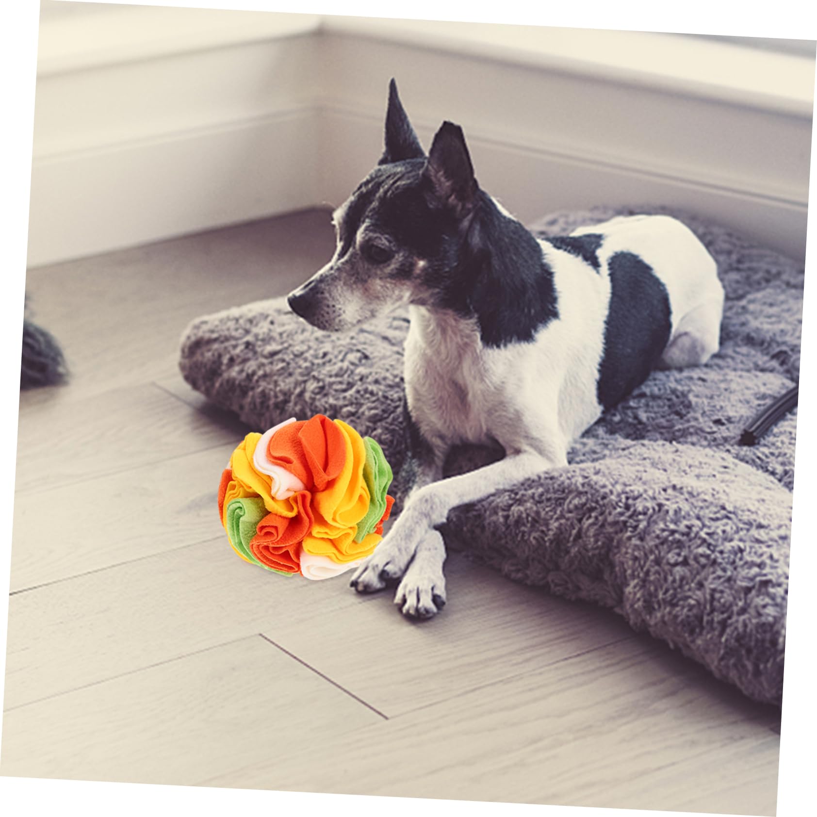 COLLBATH 2stücke Hund Schnüffelball Spielzeug Interaktives Futterspielzeug Für Langsames Fressen Robuster Und Sicherer Hundetrainingsball