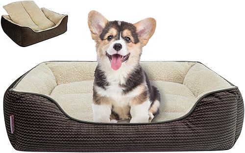 Miniatura 28 de Miguel Camas lavables para gatos de interior con cojín extraíble, fácil de lavar, sofá cama pequeña para mascotas con lado, cama rectangular para