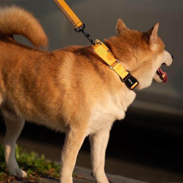 Foto 5 de 7 de Collar Hyhug Pets ajustable de martingala para perros con hebilla de liberación rápida, color resistente