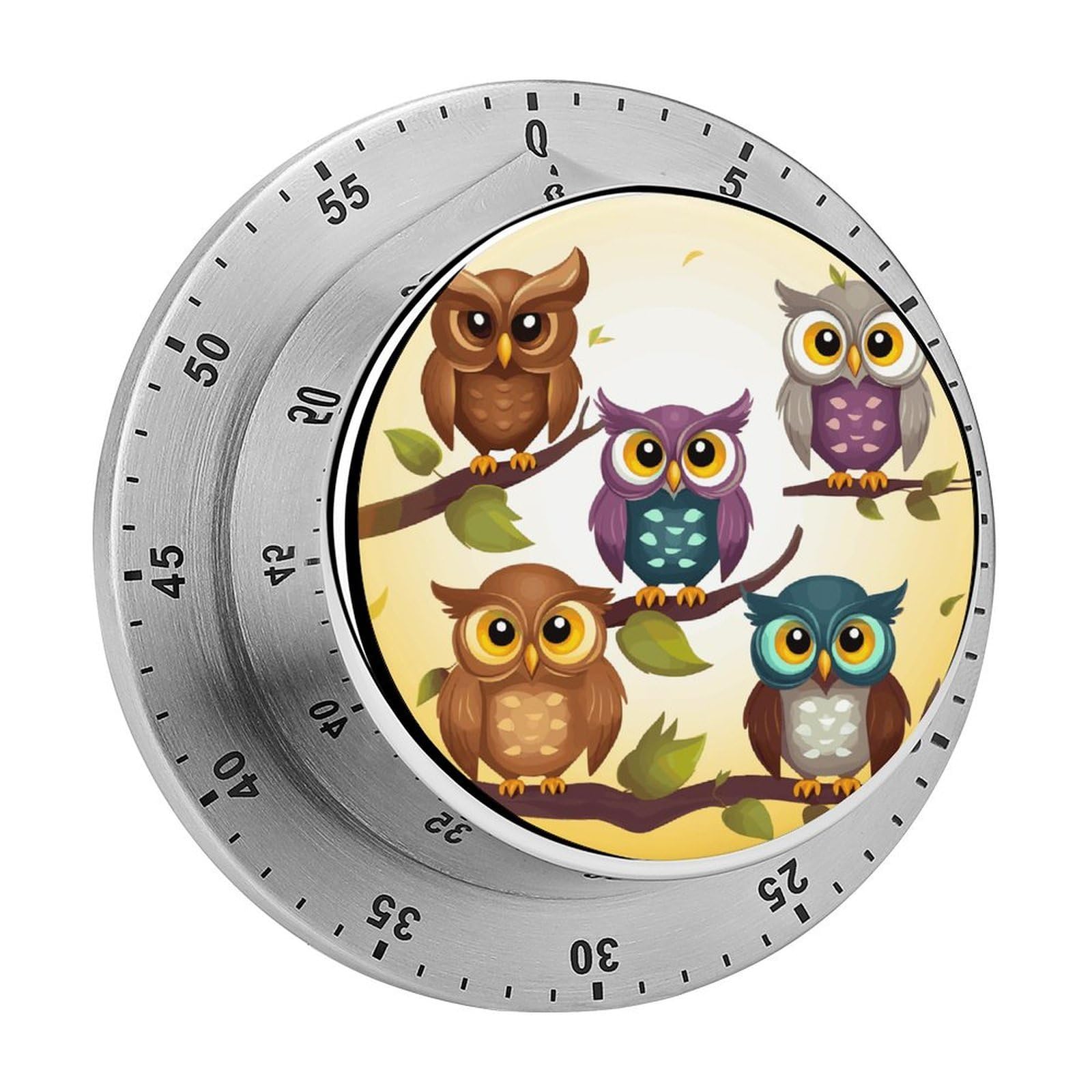 Owls Birds Mechanical Kitchen Timer, Magnetic Stainless Steel Countdown Timer, Loud Alarm Cooking Timer for Baking, Cooking, Fitness, Classroom, No Battery Needed