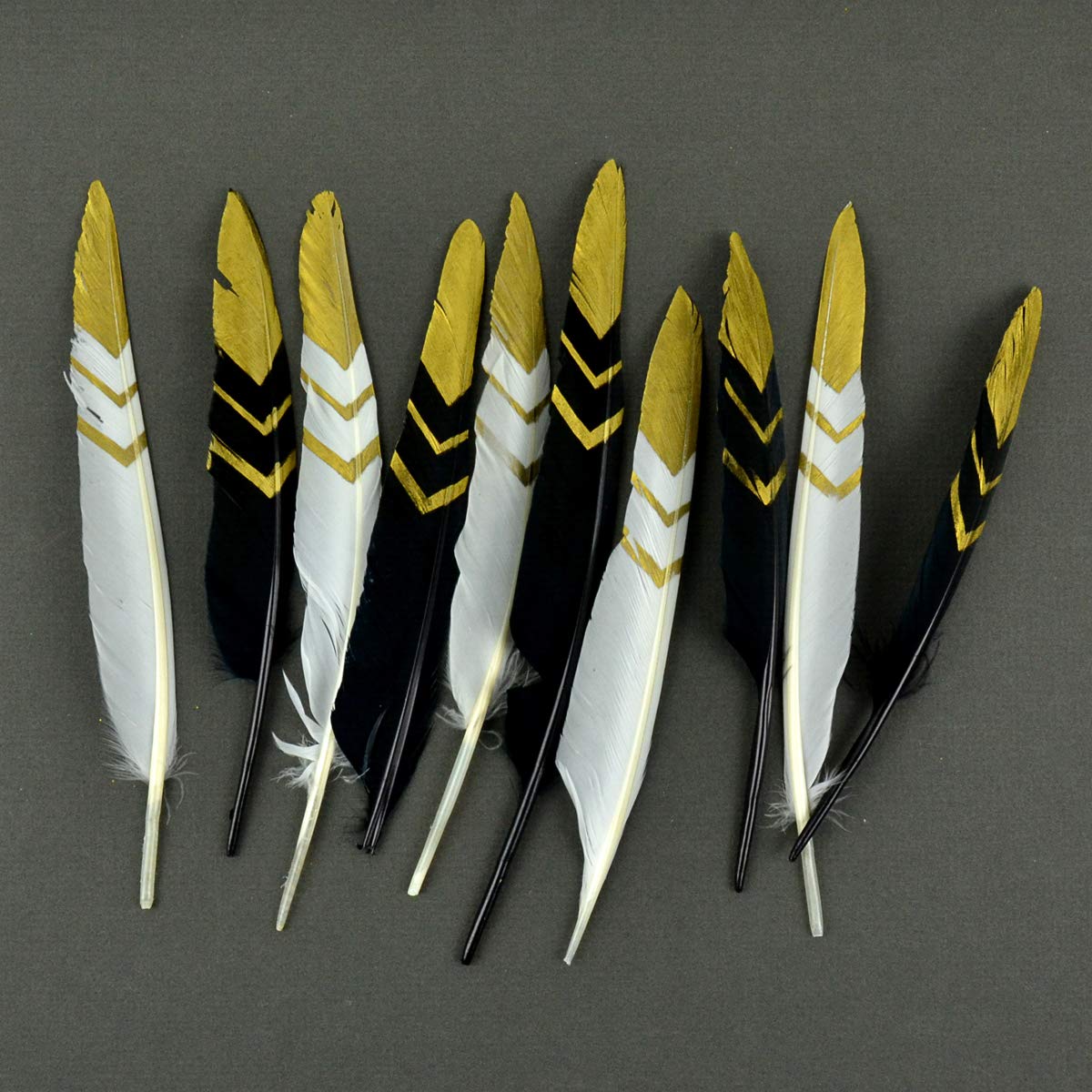 Midwest Design Imports Turkey Quills, 7-9", Black, white, gold