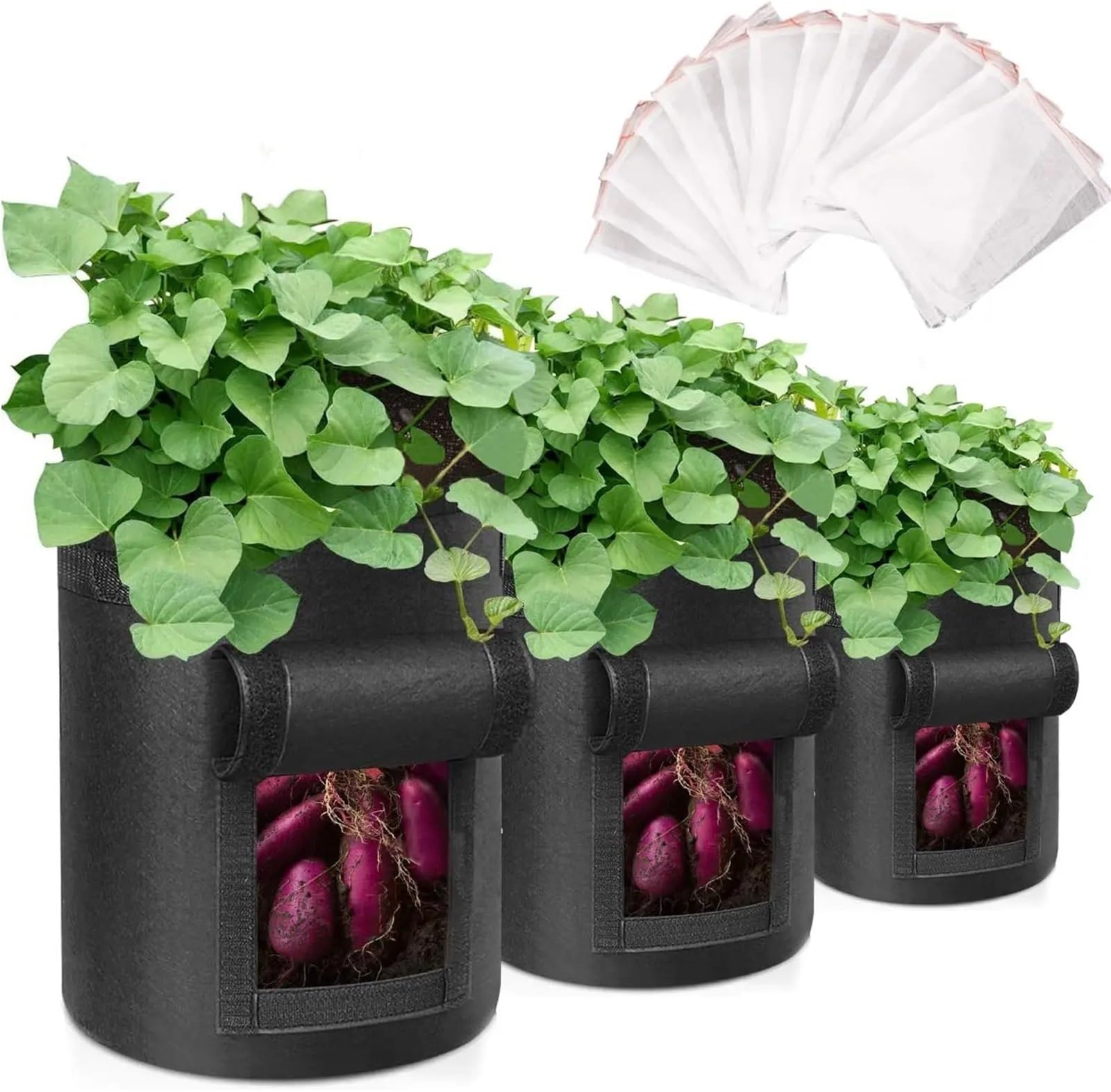 Sac de Culture Plantes 3 pièces, Sacs en Tissu Non tissé à aération, légumes Jardin poignées