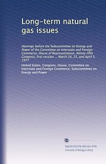 Long-term natural gas issues