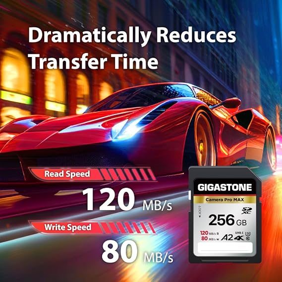 5-Years Data Recovery GIGASTONE 256GB SD Card 4K Camera Pro MAX, UHS-I A2 4K SDXC Memory Card High Speed 4K UHD Video Speed up to 120MB/s Compatible with Kodak Digital Camera with 1 Mini case
