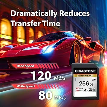 5-Years Data Recovery GIGASTONE 256GB SD Card 4K Camera Pro MAX, UHS-I A2 4K SDXC Memory Card High Speed 4K UHD Video Speed up to 120MB/s Compatible with Kodak Digital Camera with 1 Mini case