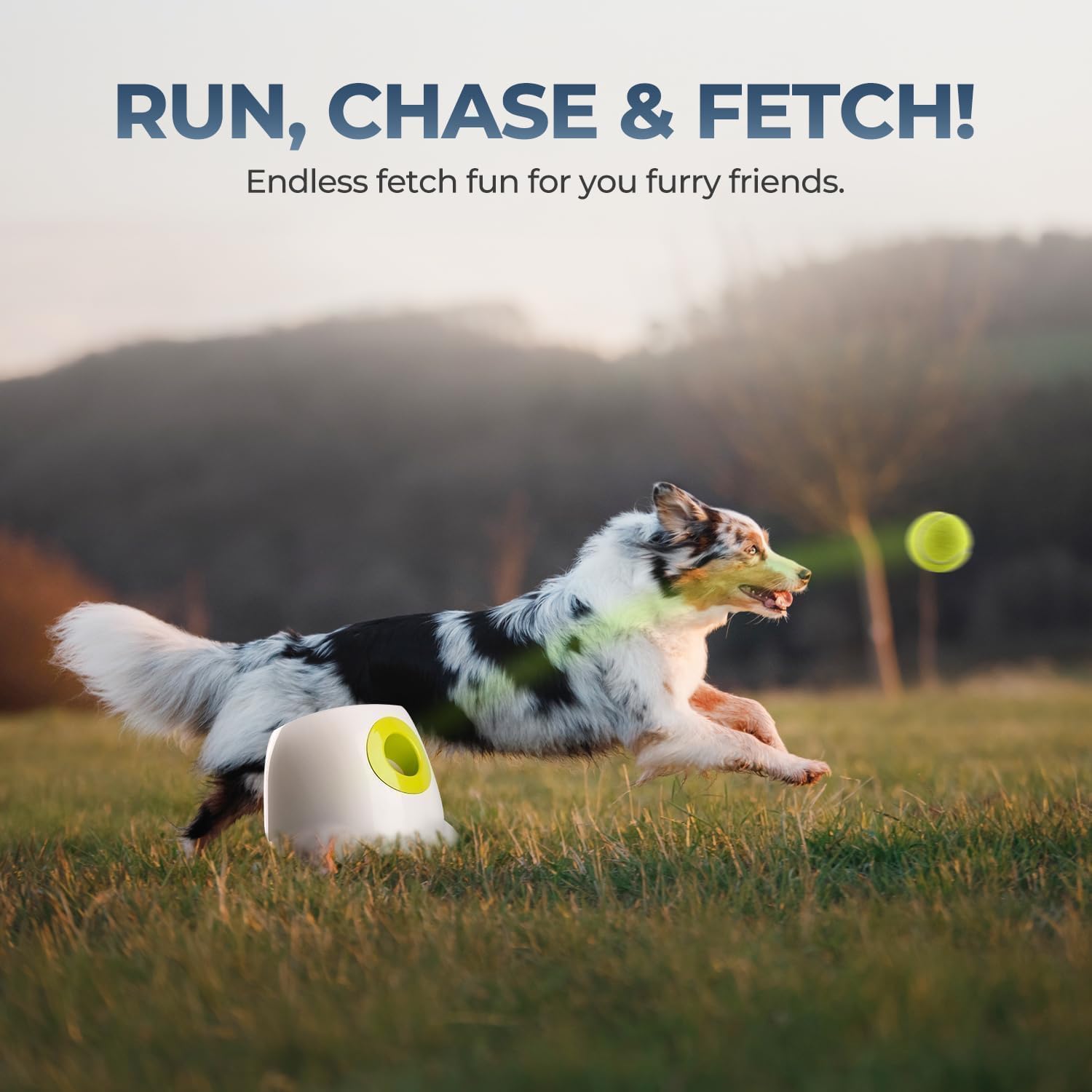 ALL FOR PAWS Automatic Dog Ball Launcher, Interactive Fetch Toy for Medium to Large Dogs, Rechargeable Pet Ball Thrower Machine for Outdoor Play, 6 Pcs 2.5-Inch Balls Included