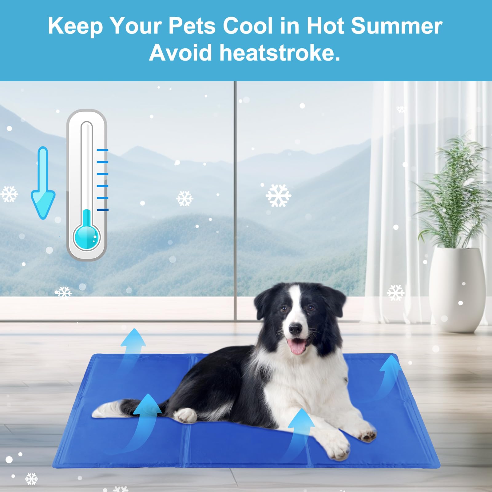 DEWEL Tappetino Refrigerante Cani e Gatti, Materassino Cane 50 x 65 cm, Adatto per Animali Domestici di Peso Inferiore a 15 kg, Raffreddamento Estivo del Lettino per Cani, Blu