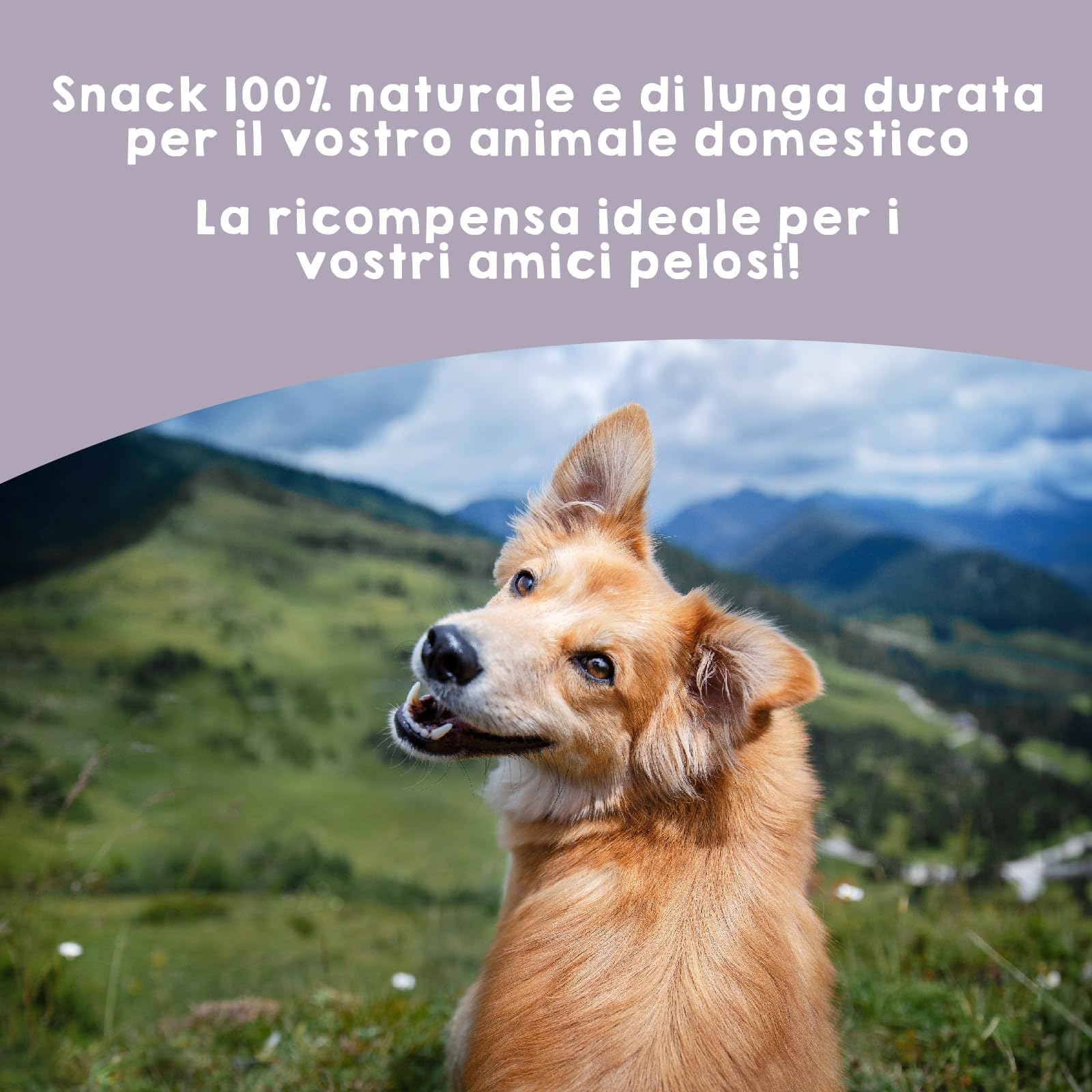 MAIKAI Nervo di Bue Snack 100% Naturali per Cani Tutta le Età + Premietti per l´Addestramento Cuccioli 10 Pezzi Dieta BARF + Bastoncini Ossa Ideali per i Denti - Regali Per Cani