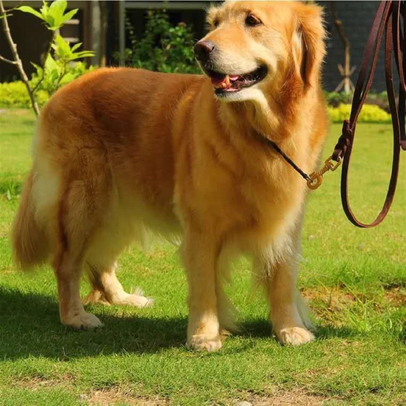 Skórzana smycz dla zwierząt Prawdziwa skórzana smycz dla psa Pleciona duża smycz Chodzenie prowadzi do treningu Lina trakcyjna dla psów owczarka niemieckiego Labrador Husky (kolor: 03, rozmiar: 1,2