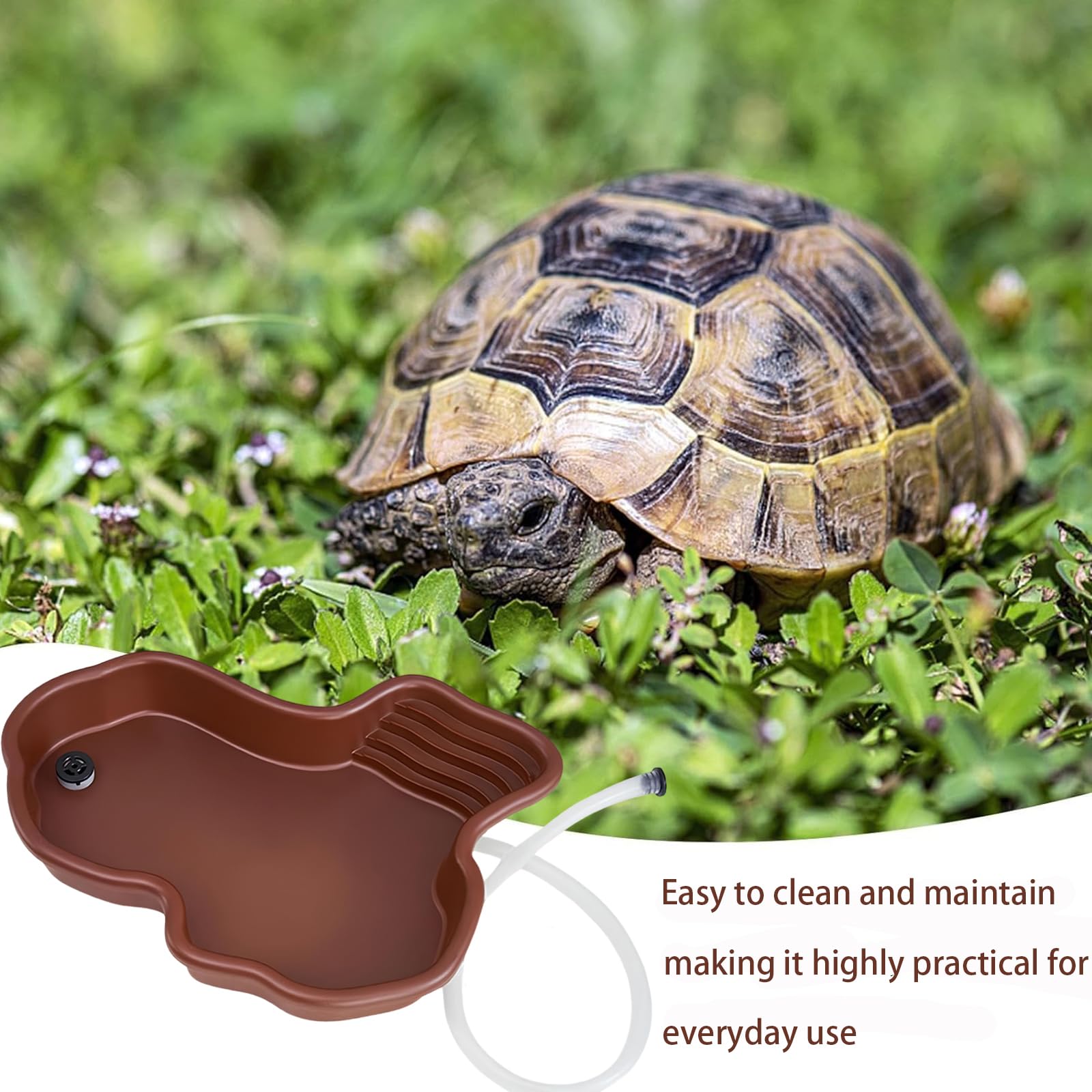 Gran Cuenco de Baño de Tortugas, Cuenco de Reptiles con Drenaje, Gran Cuenco de Agua de Reptil, Piscina para Reptiles Adecuado para Tortugas, Ranas Cornudas y Otros Anfibios y Reptiles(B)