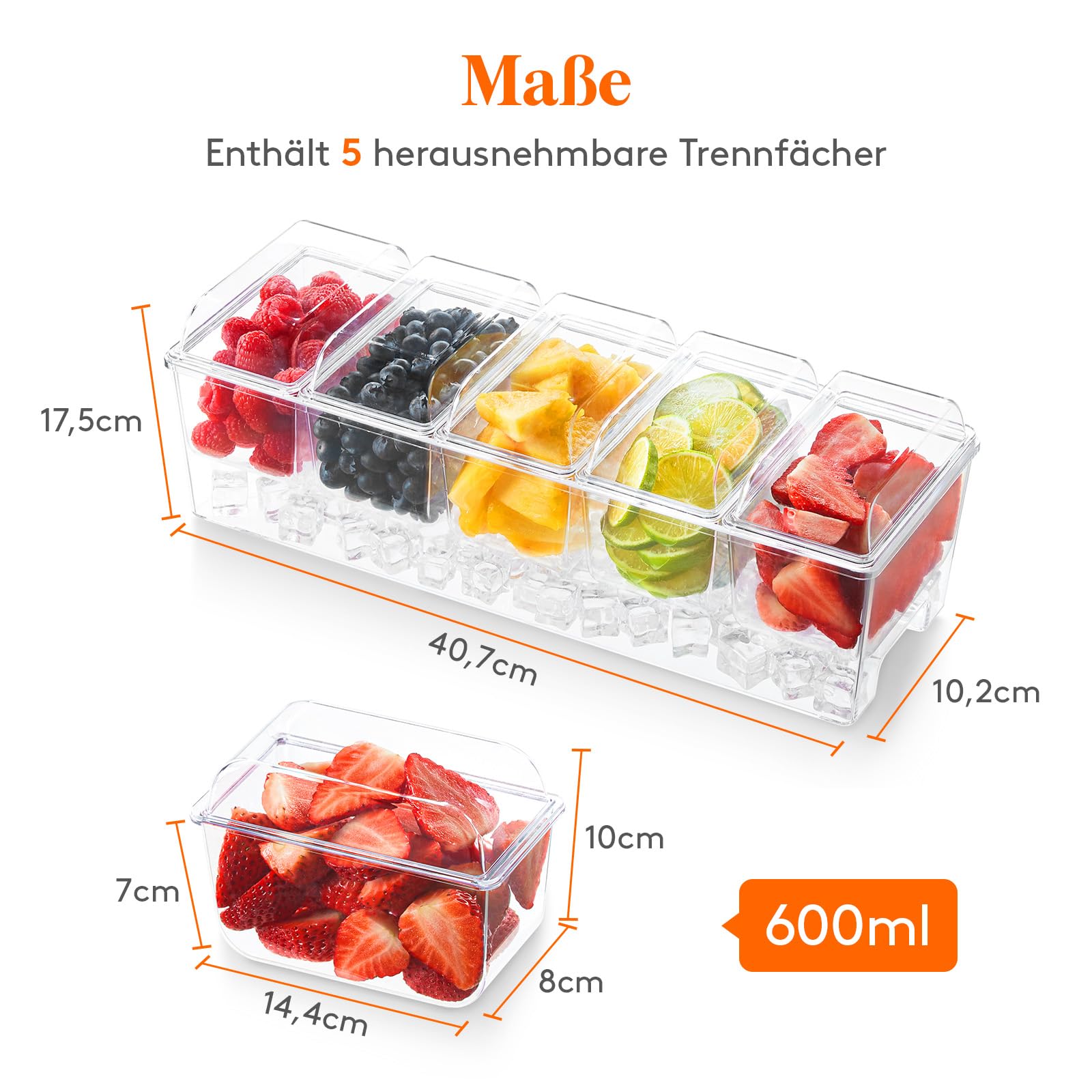 Lifewit abnehmbare Ice Zutatenbehälter mit Deckel, Frischebehälter, Ice Eiswürfel hinzufügbar, 5 Fächer Behälter zum Garnieren, Serving Bar für Obst/Snacks/Cocktail Zutaten
