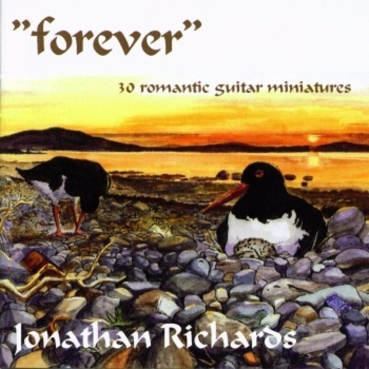 Forever - 30 Guitar Miniatures