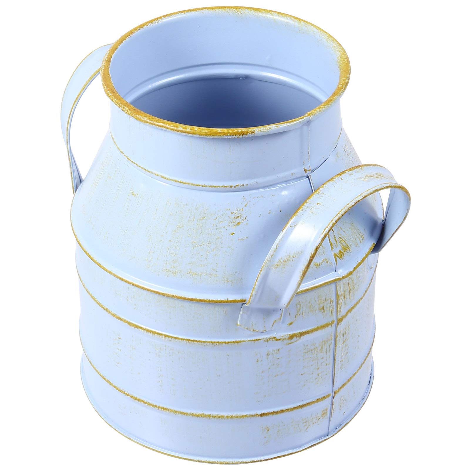 Cnfhfry Blue Vase， Metal Flower Bucket Vintage Vase Plant Pot Shabby Chic Indoor Outdoor Garden Decoration(Blue)