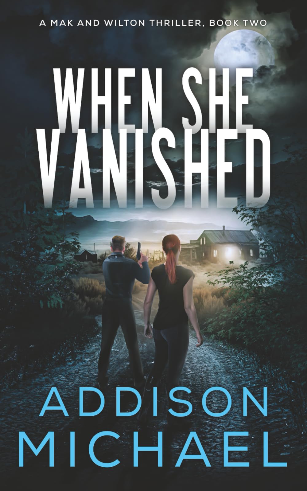 When She Vanished (A Mak and Wilton Thriller series)