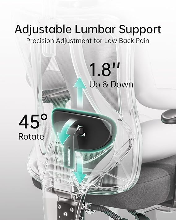 Hbada P3 Ergonnomic Office Chair with 2D Adjustable Lumbar Support, Office Chair with Adjustable Headrest and Armrest, 145 Stepless Tilt Function, Black(No Footrest)