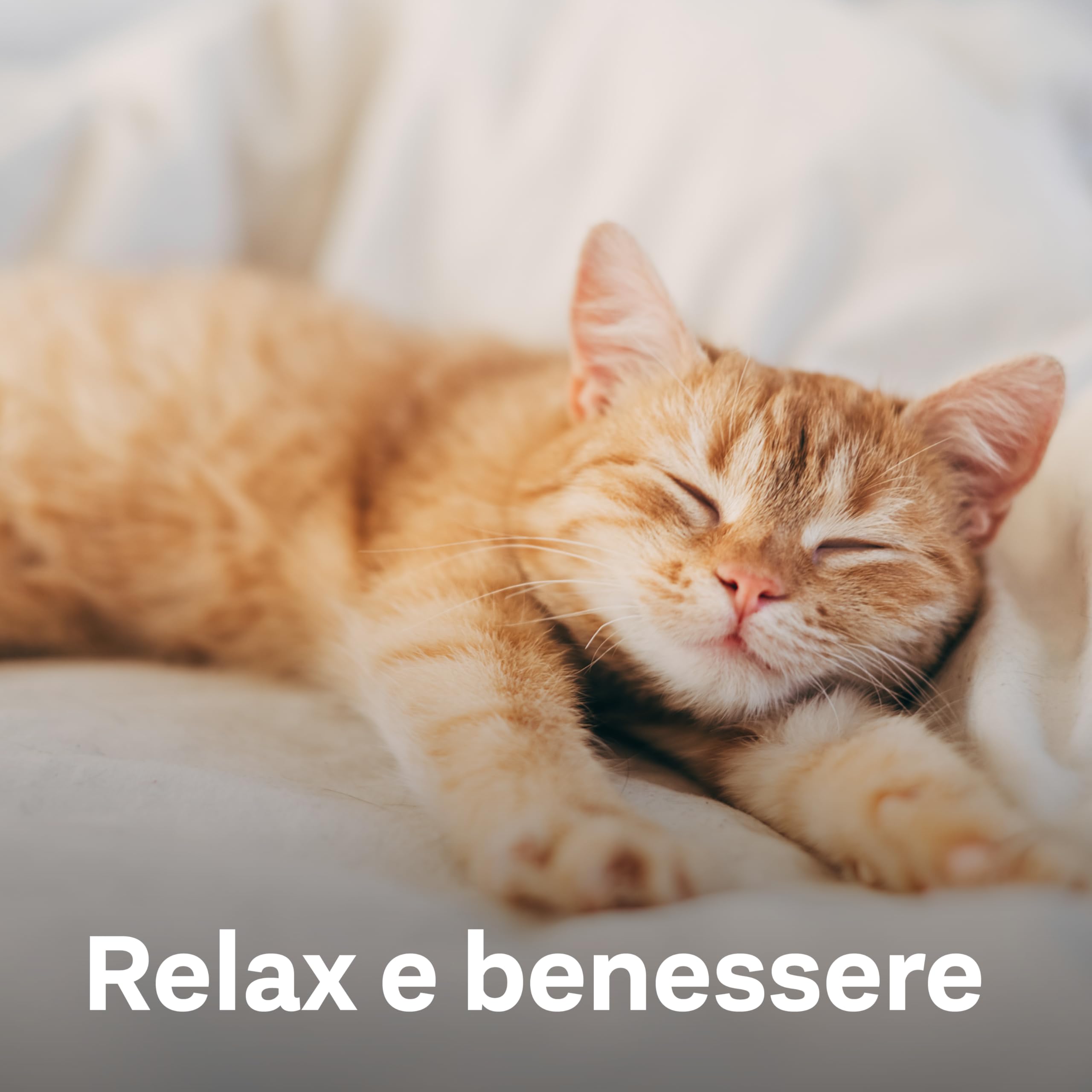 Doppelherz Relax Complex per Gatti – con Alpha-casozepina e L-triptofano – Supporto per il benessere mentale – 25 Licks cremoso
