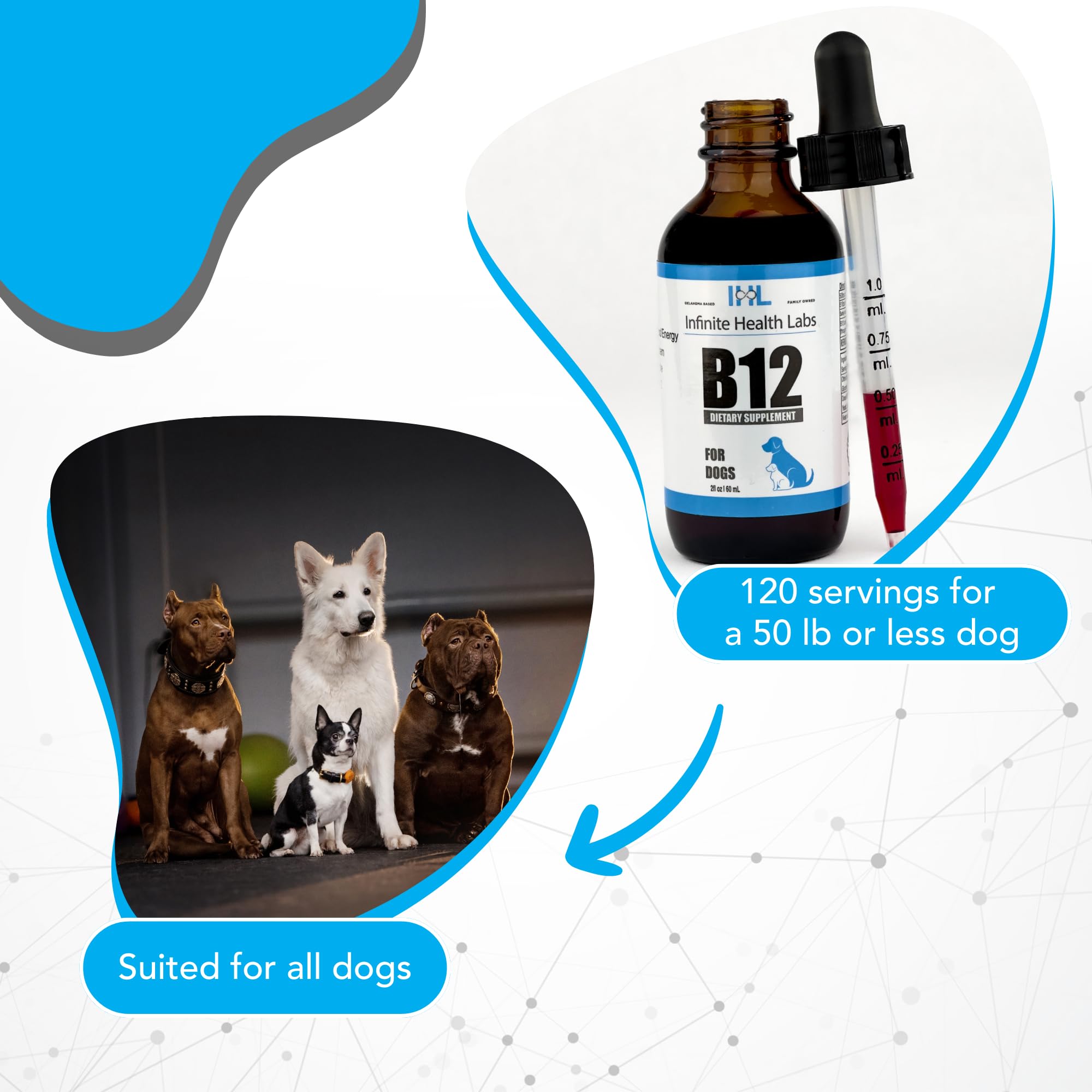 b12 injectable methylcobalamin for dogs Amazon.com : Liquid Vitamin B-12 for Dogs - Methylcobalamin Supplement for  Pets - Dog Vitamins for Medium & Large Breed - Pet Vitamins and Supplements