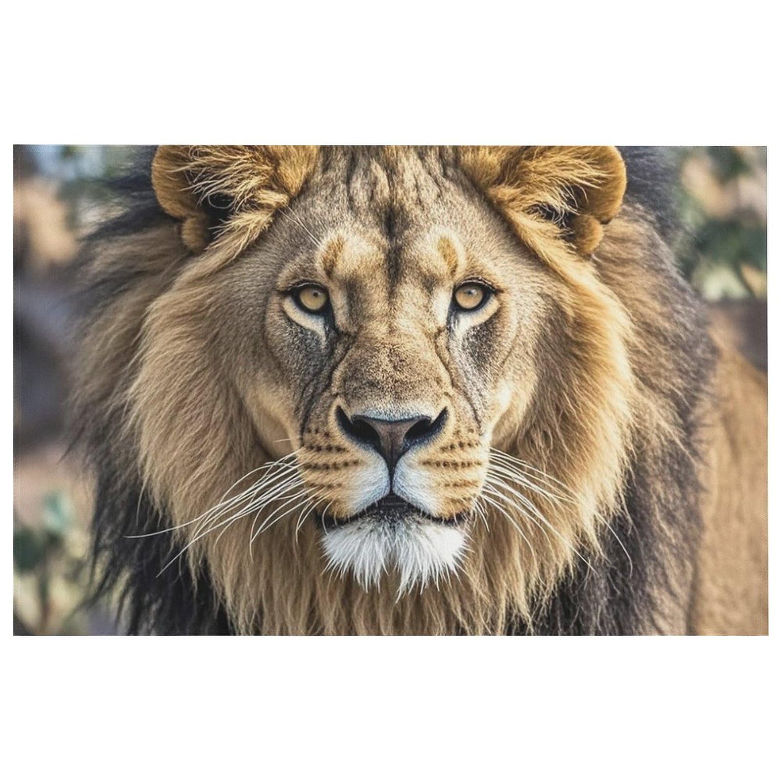 Tapis de sol moderne antidérapant 60x40 cm lion pour entrée maison