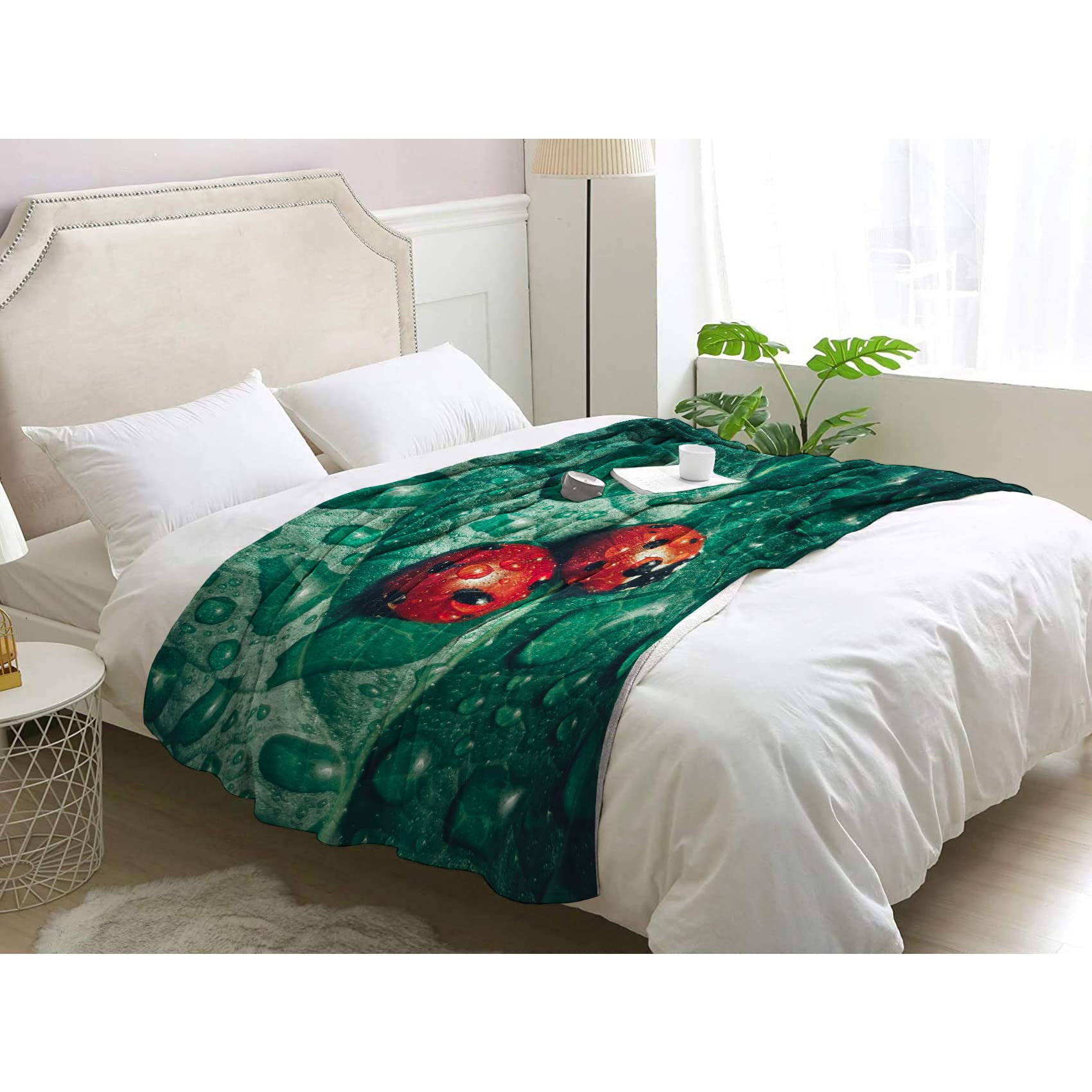 Plaid Canape pour l'Hiver BUKITA Douceur Flanelle 3D Grand Lit 2 Personnes