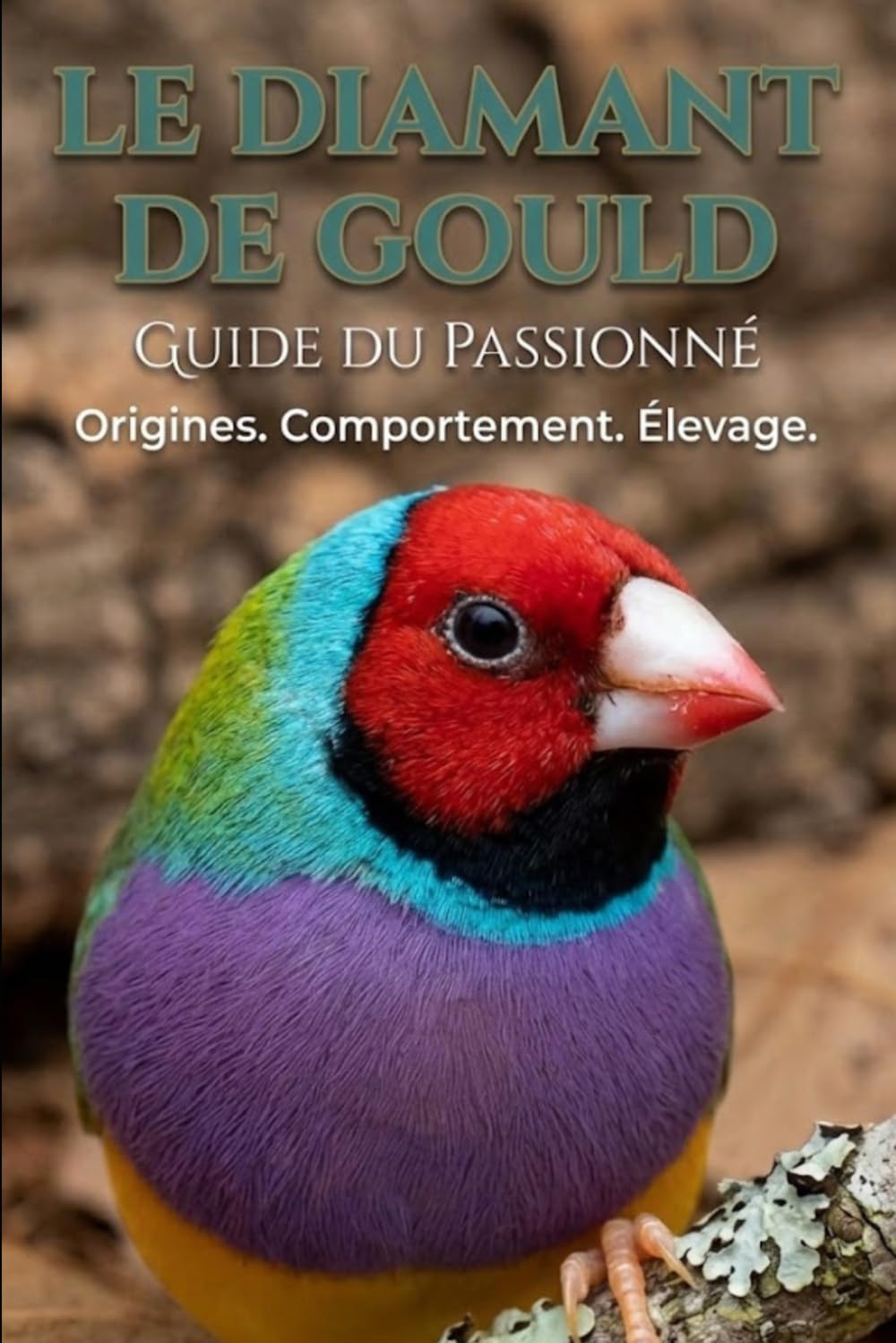 Le guide du passionné: Le Diamant de Gould