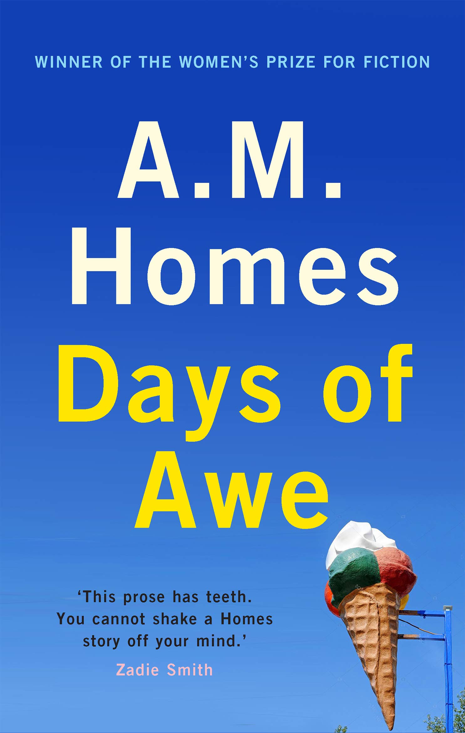 Days of Awe: A.M. Homes