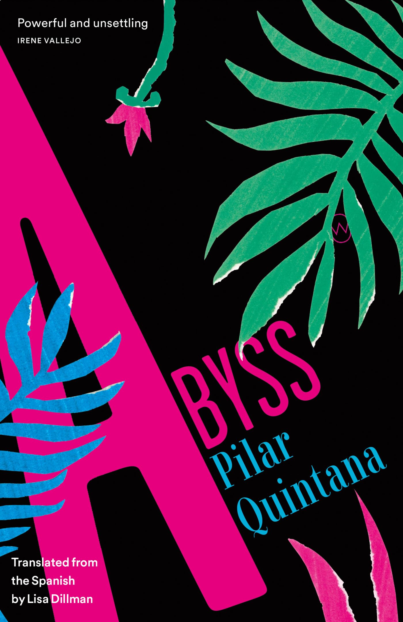 Abyss by Pilar Quintana PAPERBACK 9781912987405