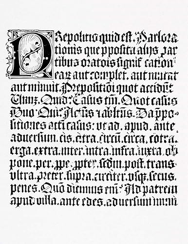 Posterazzi DPI1860824 Alessandro CereStocktrek Images Photo Print, 12 x 16, Multi