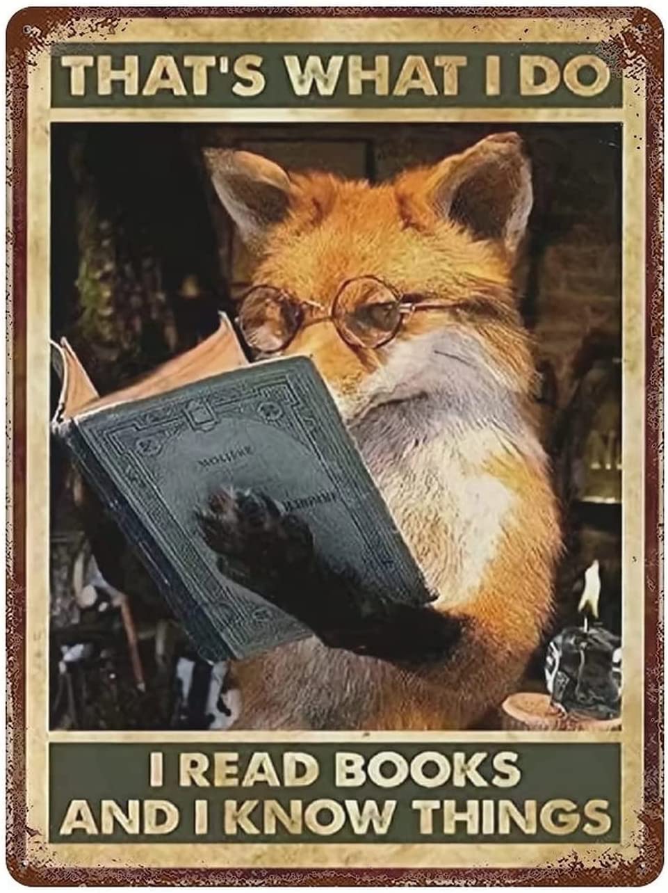 Haosensix Funny Reading Fox Bathroom Quote Metal Tin Sign Wall Decor Vintage Aluminum Sign for Office Home Classroom Bathroom Farmhouse Decor Poster Plaque 8x12 Inch