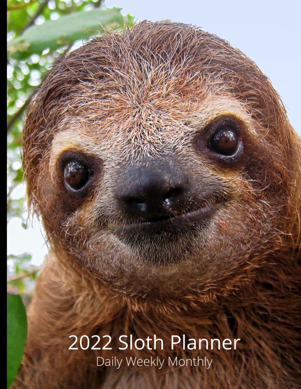 2022 Sloth Planner - Daily Weekly Monthly - Large Size Diary and Organizer: Double Page Weekly Plan with space to write in each day plus section for ... Monthly Plan | 2022 at a Glance Year Calendar