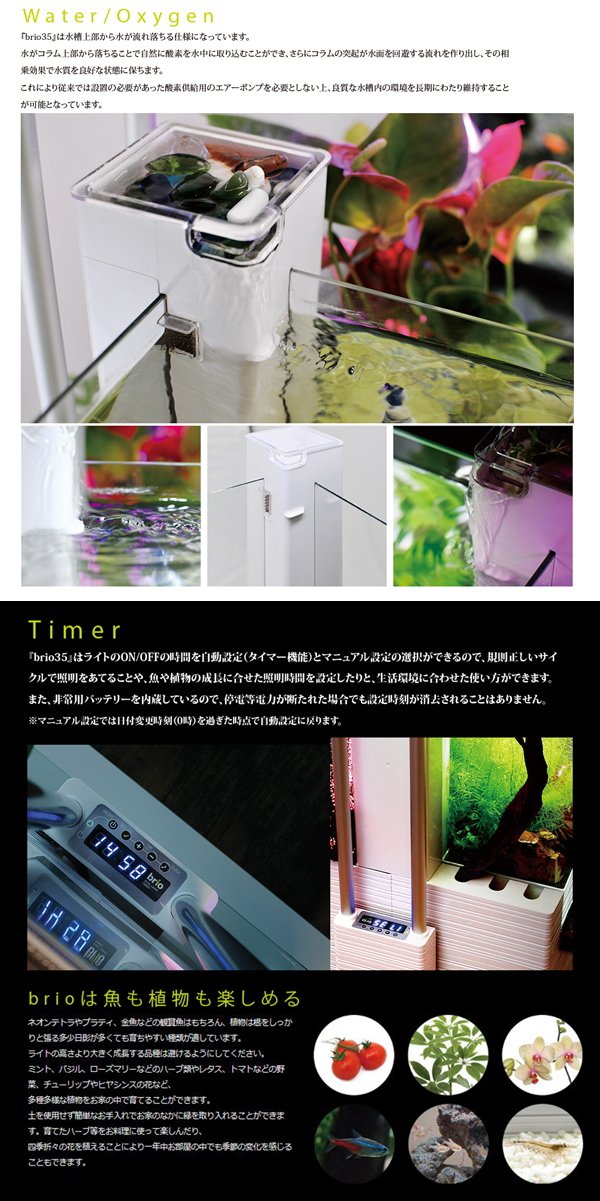 Amazon | brio(ブリオ) 水槽 35 50Hz仕様 白 | brio(ブリオ