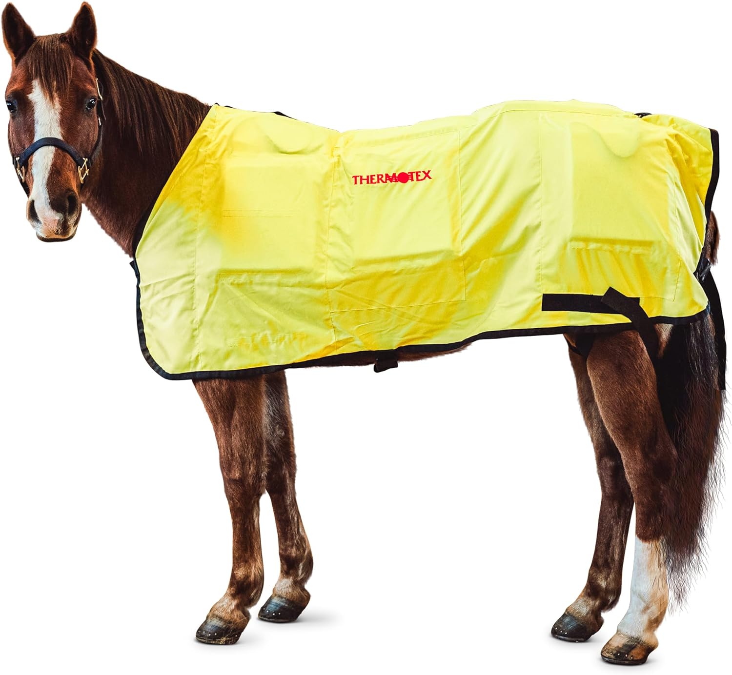 Thermotex Equine Far Infrared Heating 12 Pad Blanket