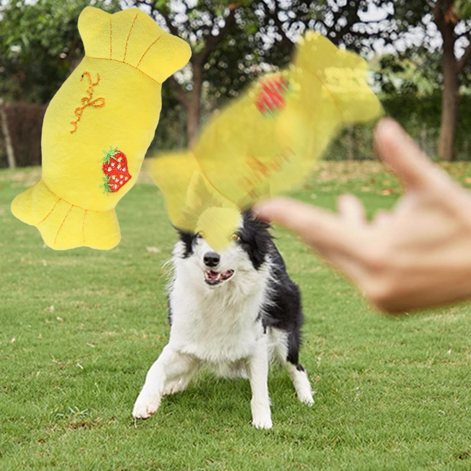 Amazon | Ozozuize スクイーカー付き犬用おもちゃ、ぬいぐるみ犬用