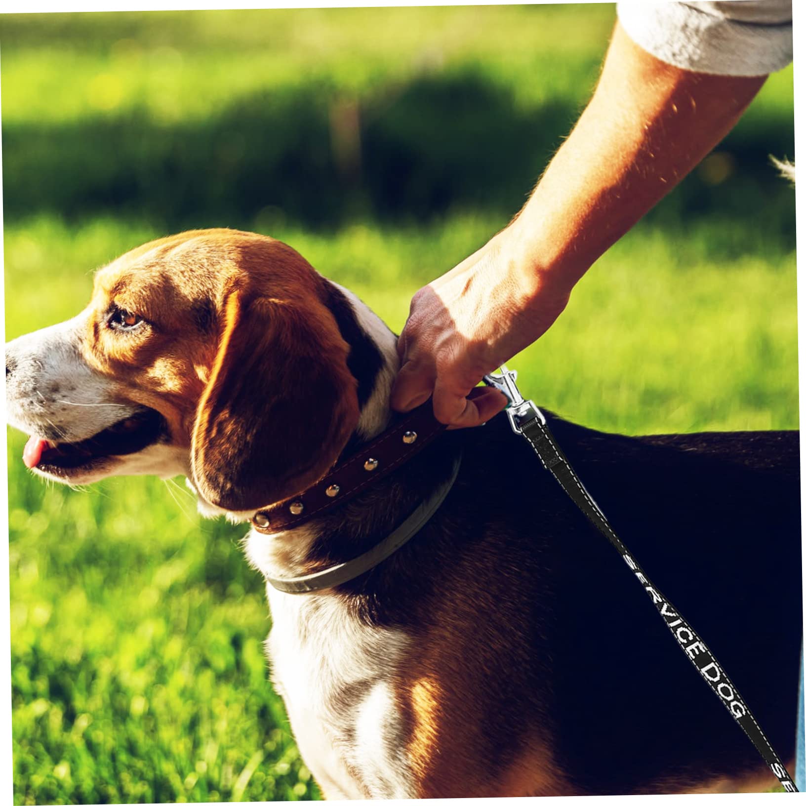 SUPVOX 5 Pz guinzaglio per cani di servizio Guinzaglio per cuccioli Forniture per animali domestici cane guinzaglio portatile per animali domestici accessorio per cani nylon Black