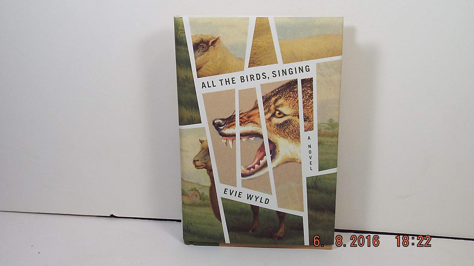 Buy All the Birds, Singing: A Novel — BookShops.in