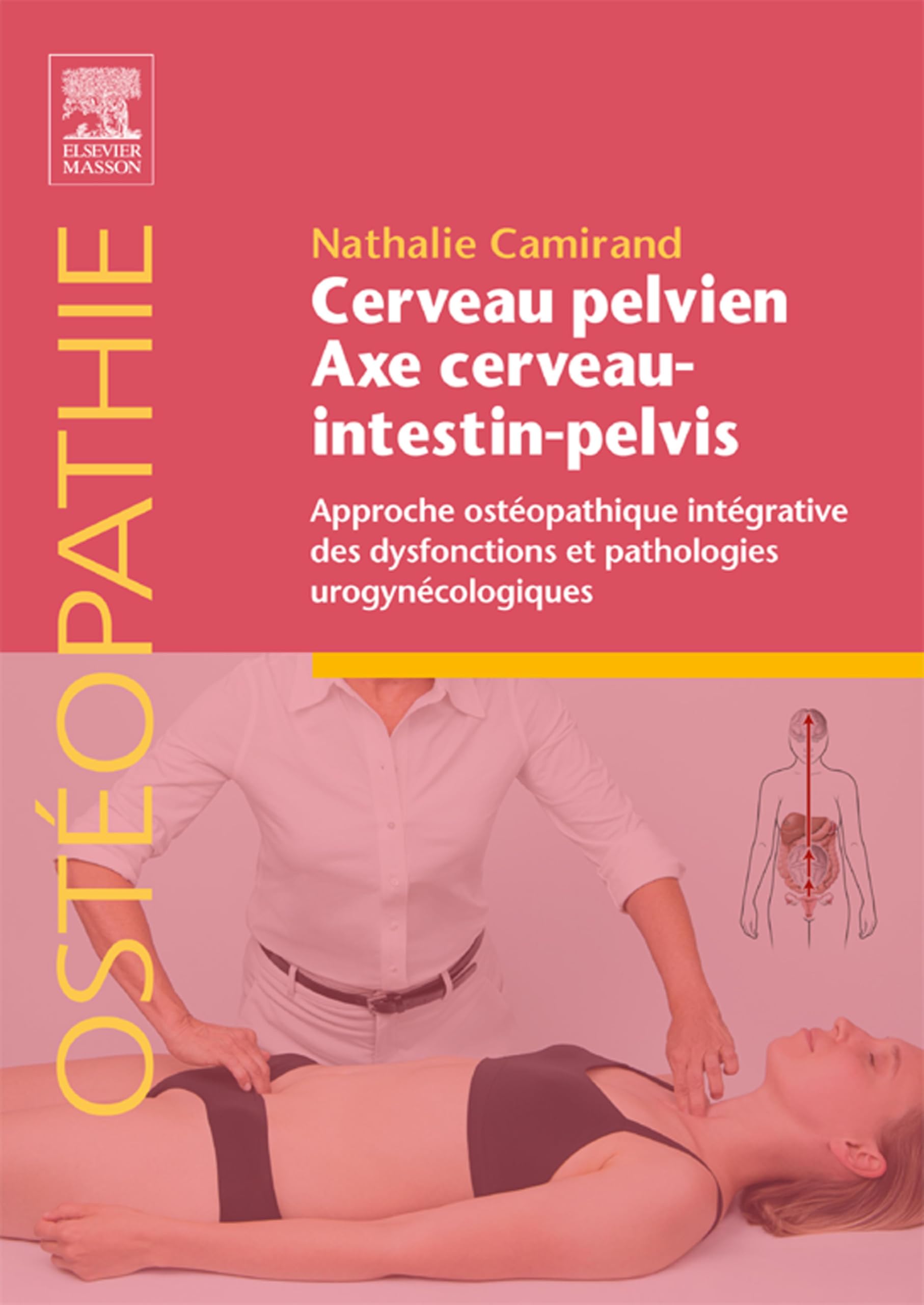Cerveau pelvien - axe cerveau-intestin-pelvis: Approche ostéopathique intégrative des dysfonctions et pathologies urogynécologiques (French Edition)