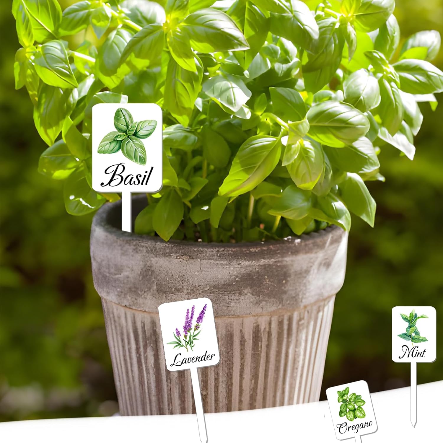 12Pcs Herb Garden Signs - 12 Styles Plant Labels with Names for Vegetables, Indoor/Outdoor Garden Decoration - Image 6