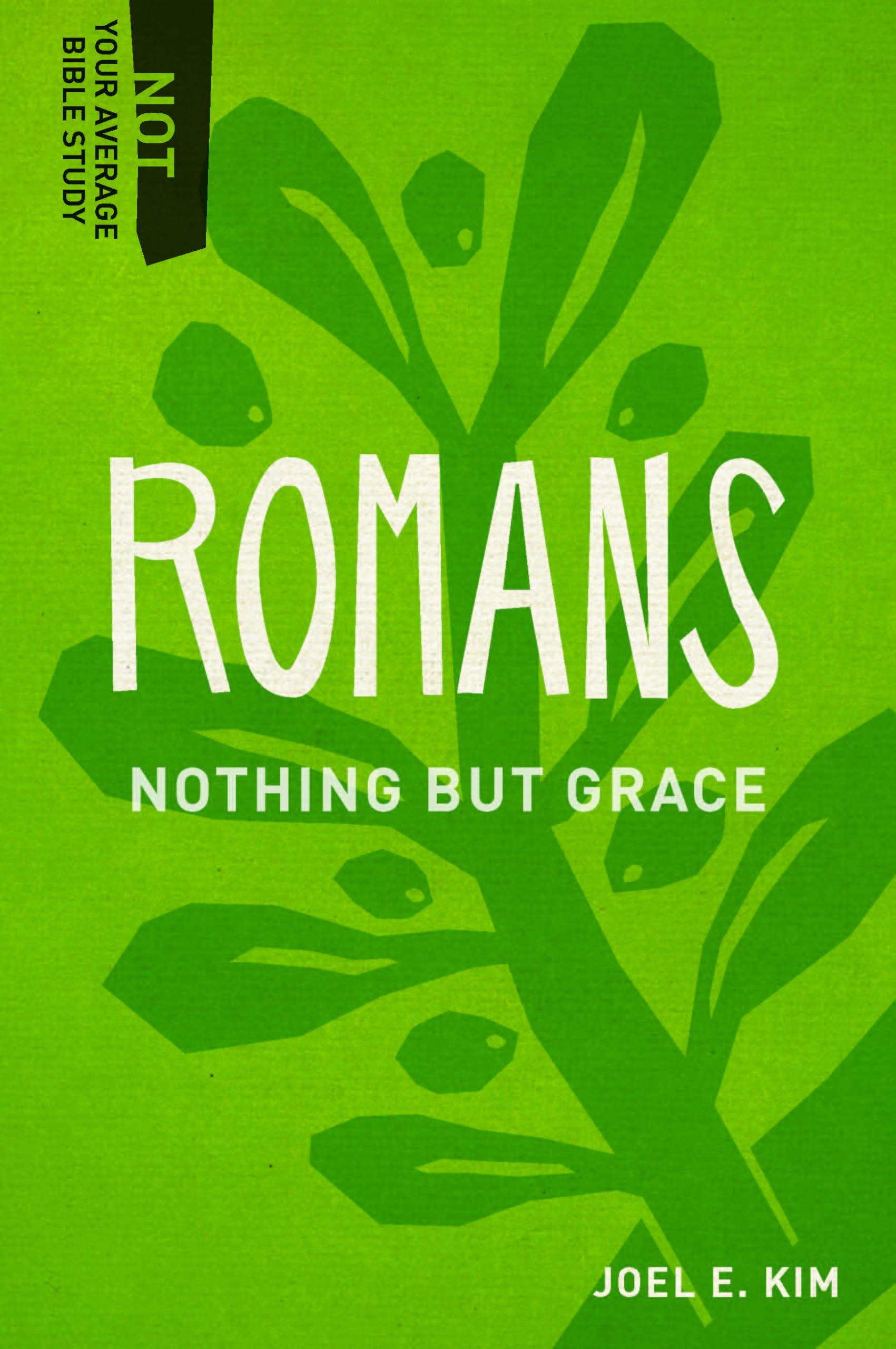 Nothing but Grace (Not Your Average Bible Study)
