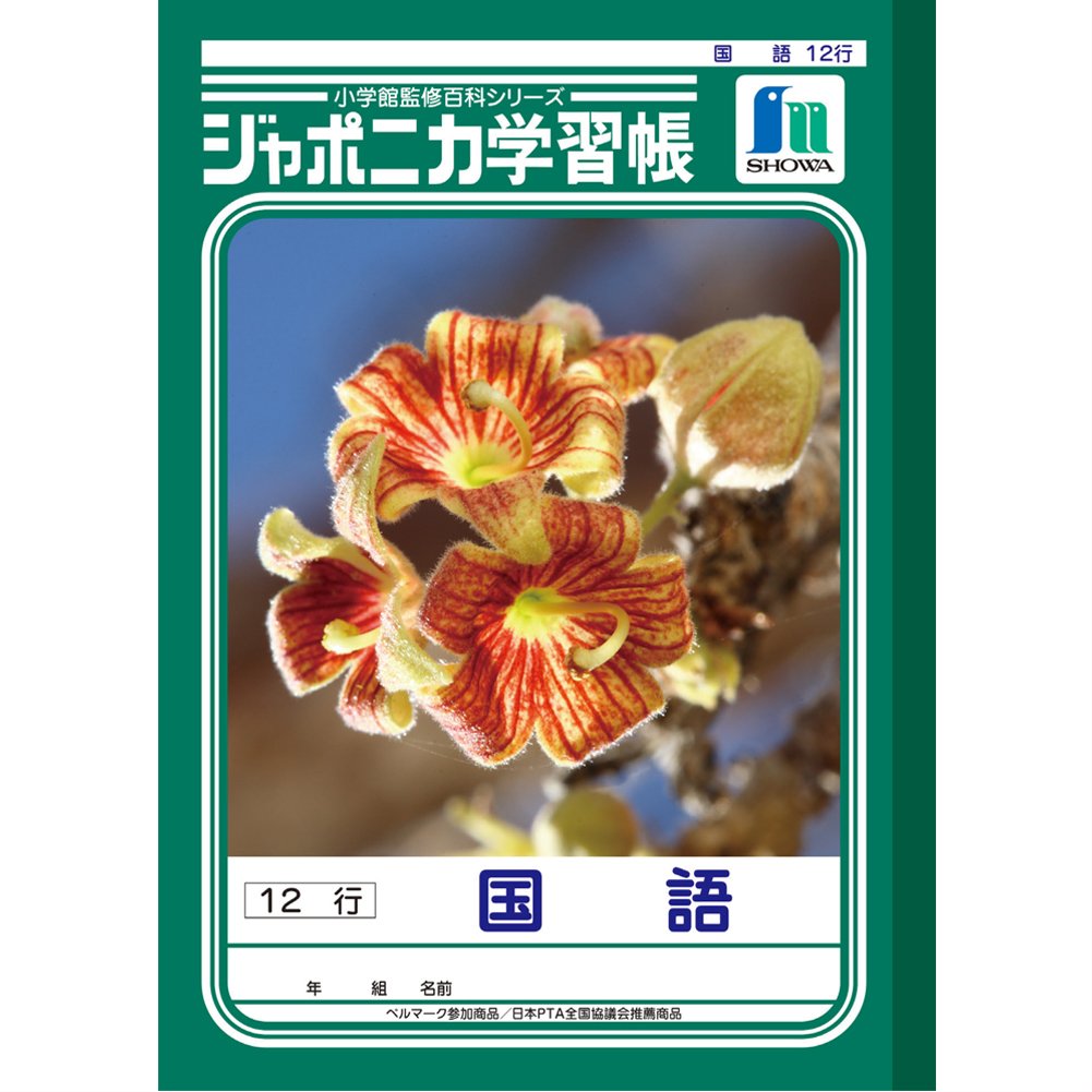 Showa Japonica Grid Notebook B5 Learning Book