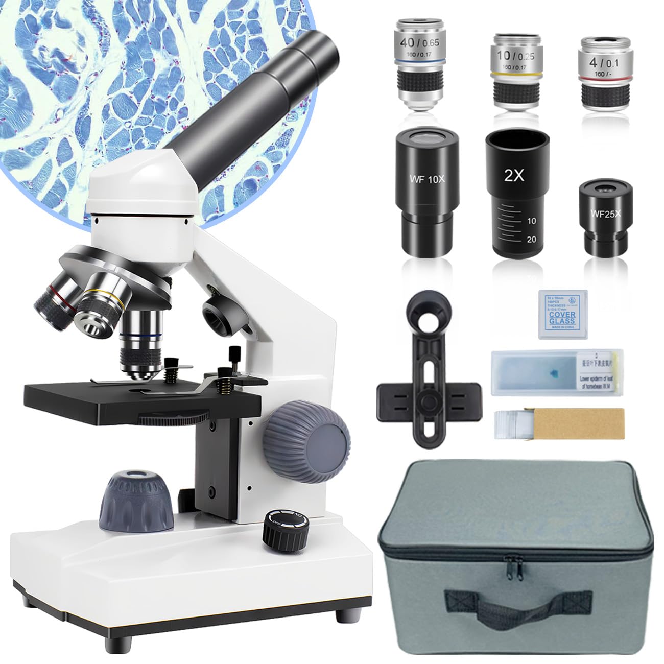 Compound Microscope for Adults, 40X-2000X High-Power Biological Microscope with Slides Set and Phone Adapter