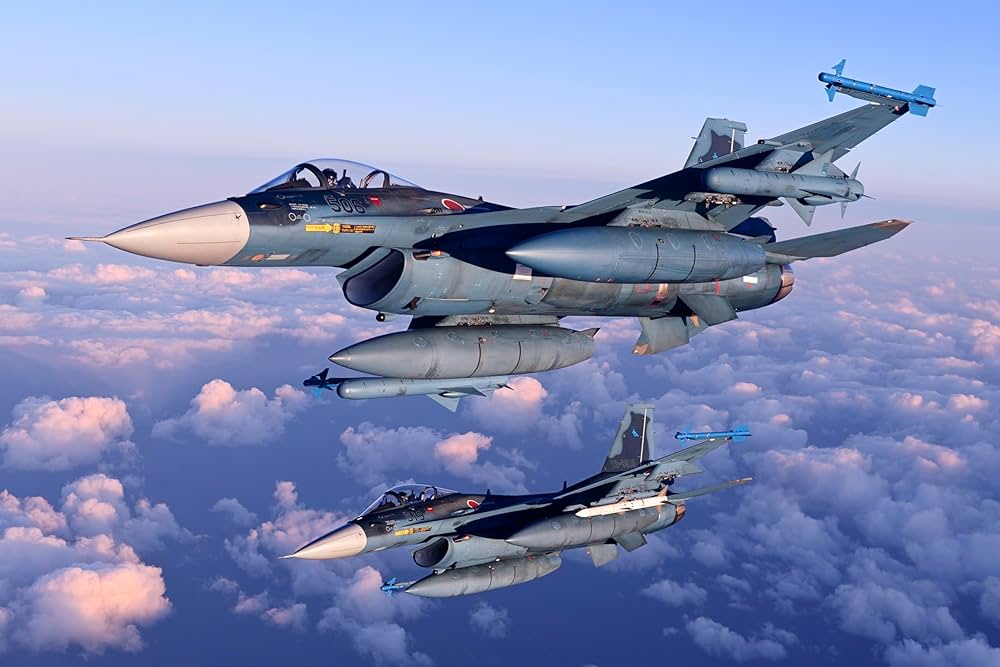 外国の空軍写真集 公式ブラジル空軍航空機 書籍 ASAS 外国の空軍写真集 公式ブラジル空軍航空機 書籍 ASAS