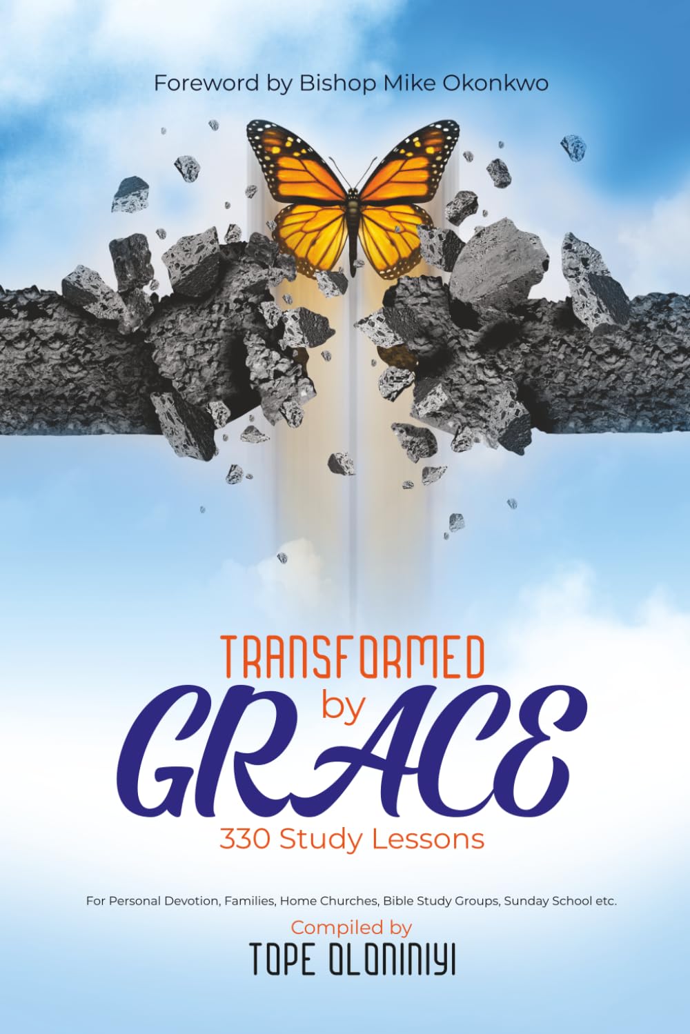 TRANSFORMED BY GRACE: 330 Study Lessons For Personal Devotion, Families, Home Churches, Bible Study Groups, Sunday School etc.