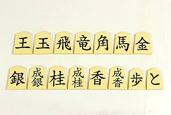 ゴロ将棋 ナレーションCD セット ゴロ将棋 ナレーションCD セット ゴロ将棋 ナレーションCD