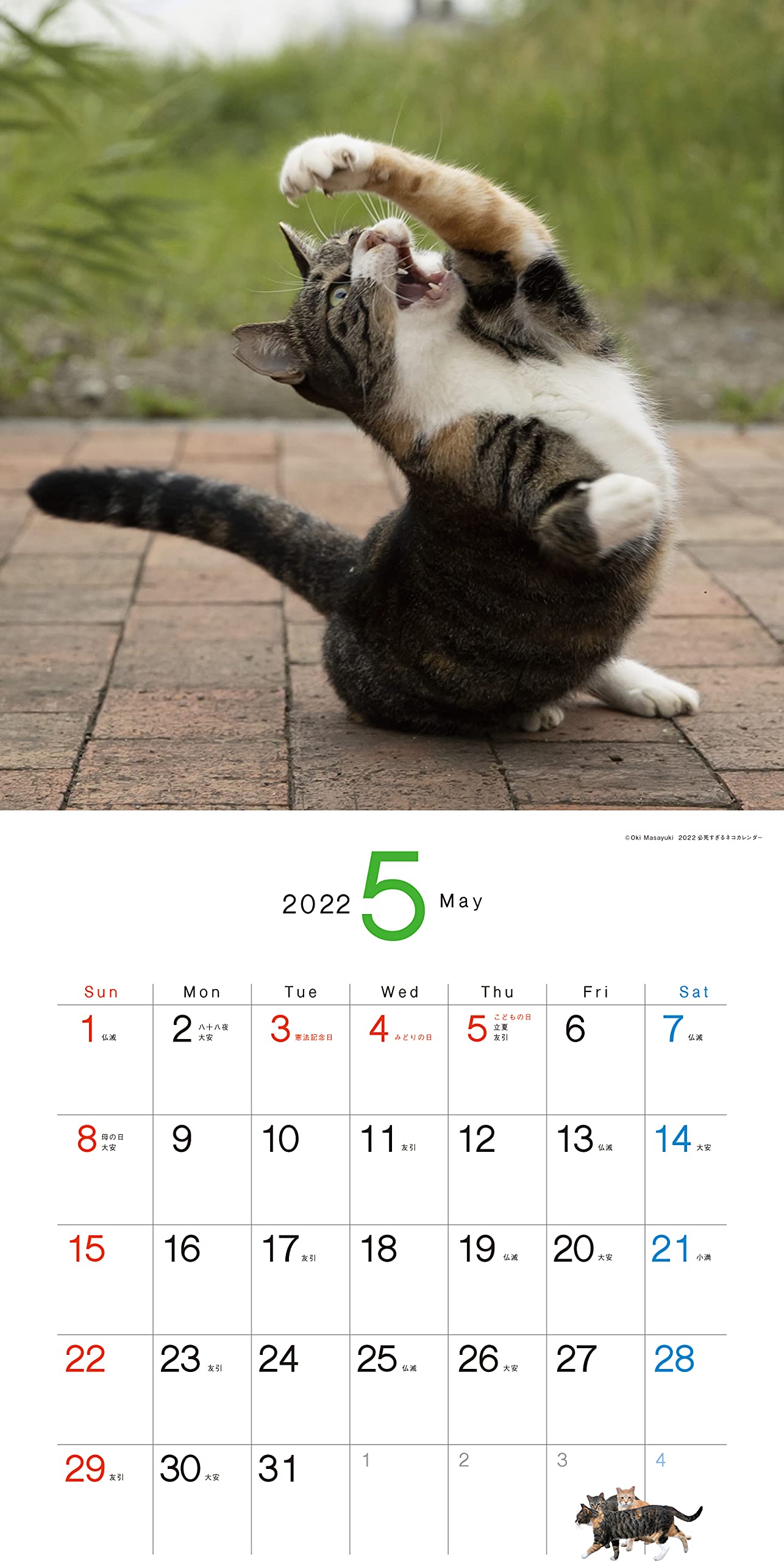 22必死すぎるネコ カレンダー カレンダー Hpfdpwcsnv Cosbrapim Com Br