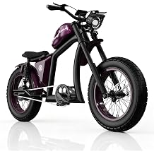 Mangosteen Electric Bike for Adults, 2250W Peak Motor, 20" Fat Tire Ebike, 52V 27Ah Removable Battery, Up to 80 Miles Range, 37 MPH Top Speed, Full Suspension All-Terrain Electric Bicycle