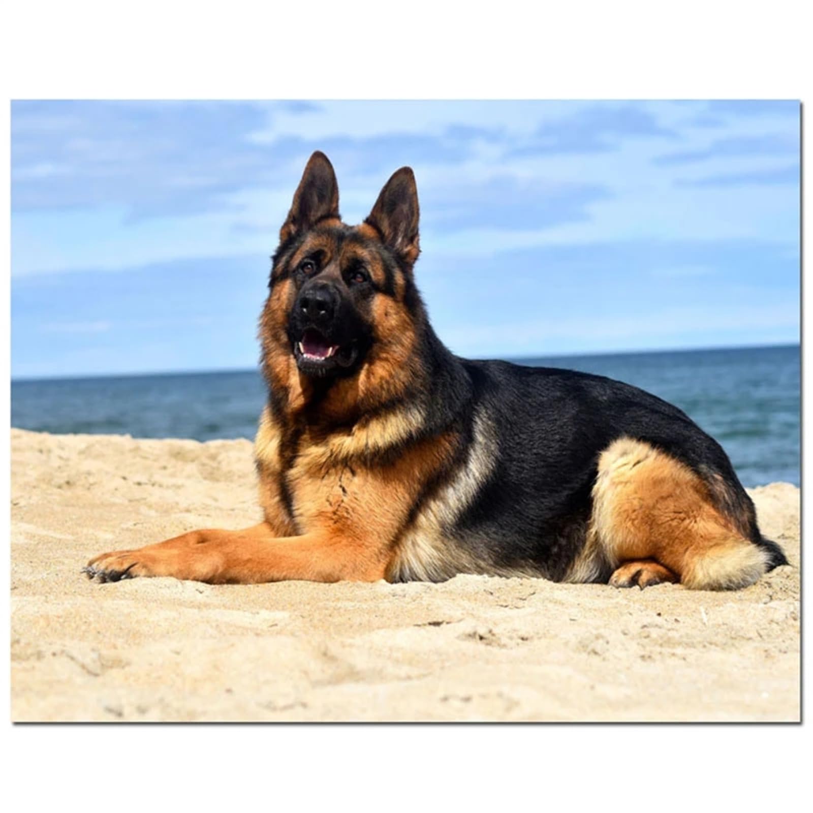 5D DIY Diamond Art Painting Kits Full Drill, Beach German Shepherd Round Diamond Embroidery Art Cross Stitch Crafts,Crystal Rhinestone Diamond Paints Kits for Home Wall Decor(90x130cm/36x52inch)